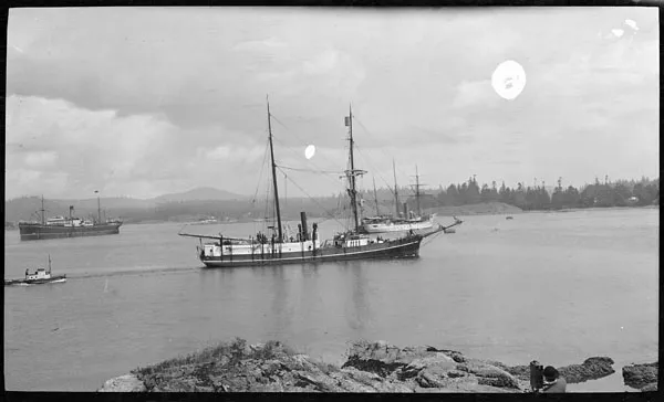 Historic whaling ship photograph